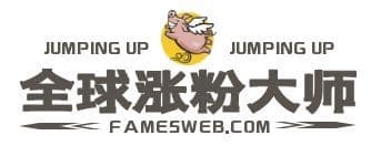 全球涨粉大师